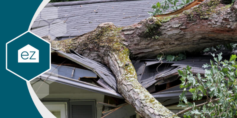 a house that is damaged by a big trunk