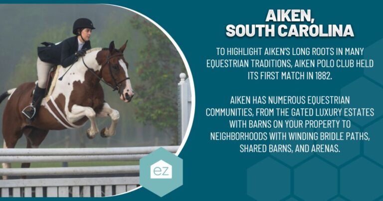 Equestrian in Aiken South Carolina