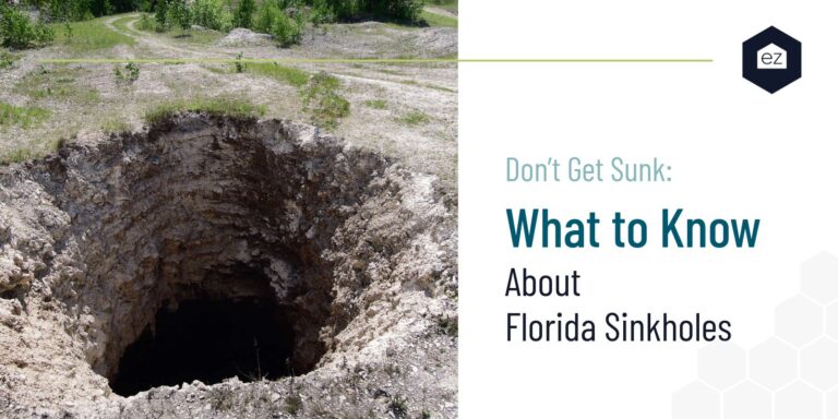 Sinkhole in a Park in Florida