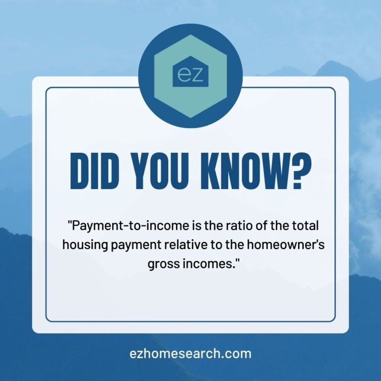 Payment to income definition