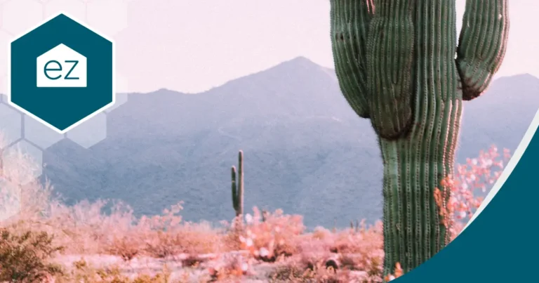 Arizona Desert with big cactus