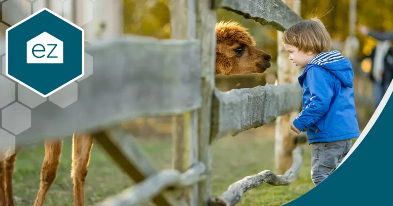 A toddler facing an alpaca between a wooden fence