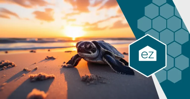 Baby turtle in a white sand beach during sunrise