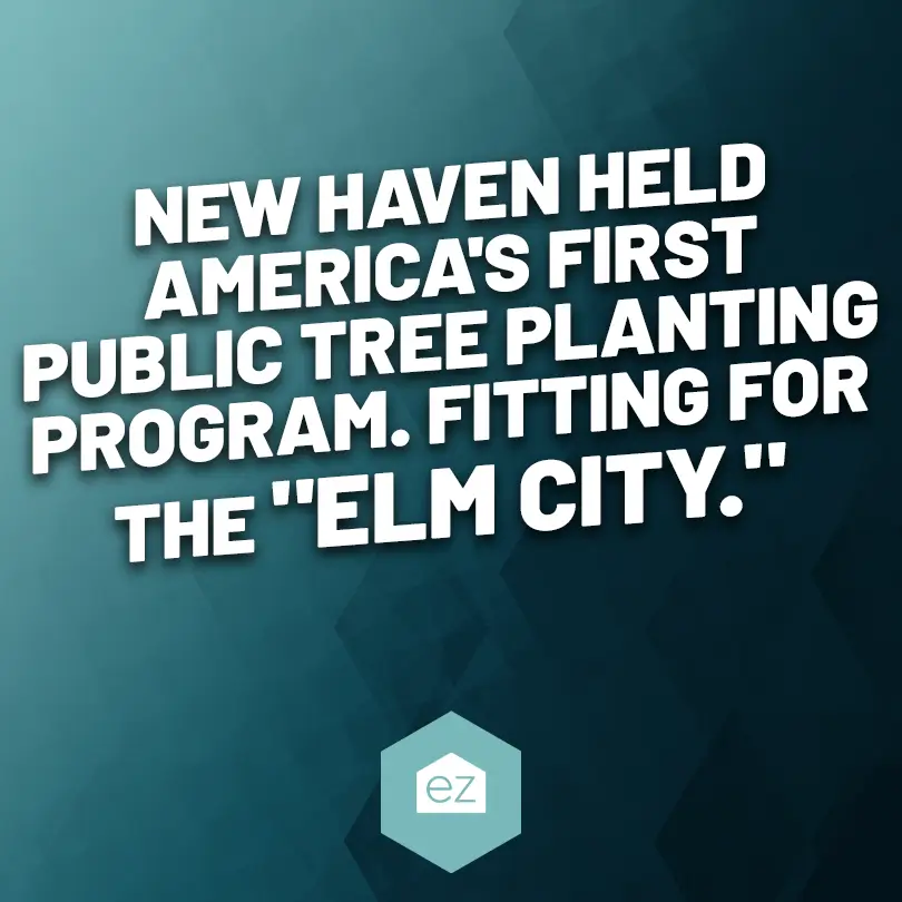 New Haven held America's first public tree planting program
