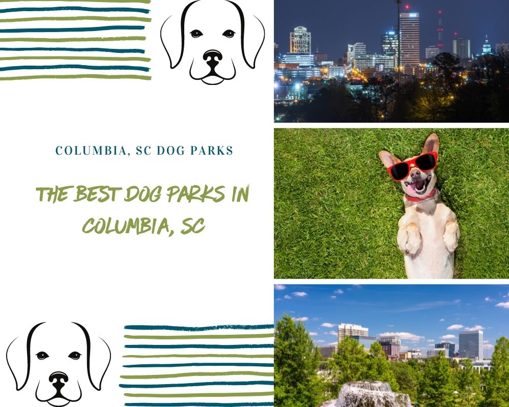 Photos of Columbia South Carolina and photos of dog with sunglasses