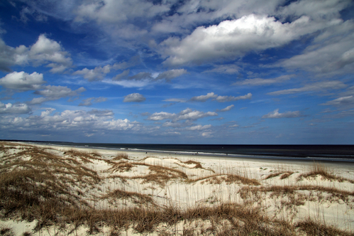 Georgia beach with sand dunes