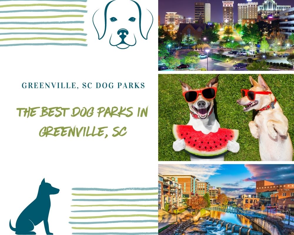 Photos of Greenville, South Carolina and Dogs