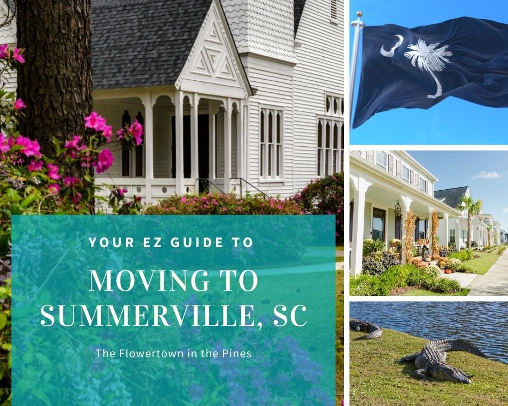 photos of homes in summerville south carolina, and sc state flag
