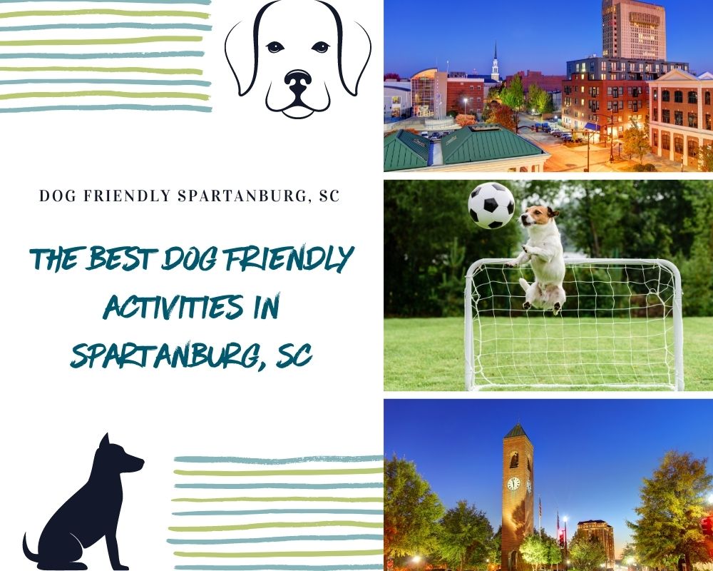 Photos of Spartanburg and dogs playing