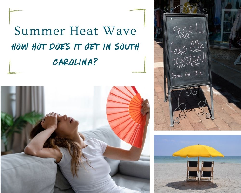 Photos of a woman with a fan, beach chairs on a beach, and a sign outside a restaurant