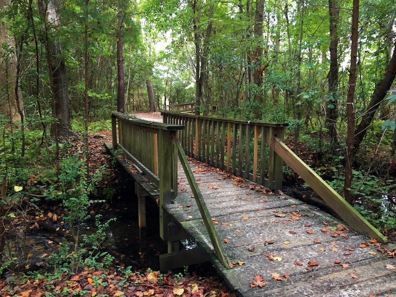 Nature Trail with Bridge and Trees